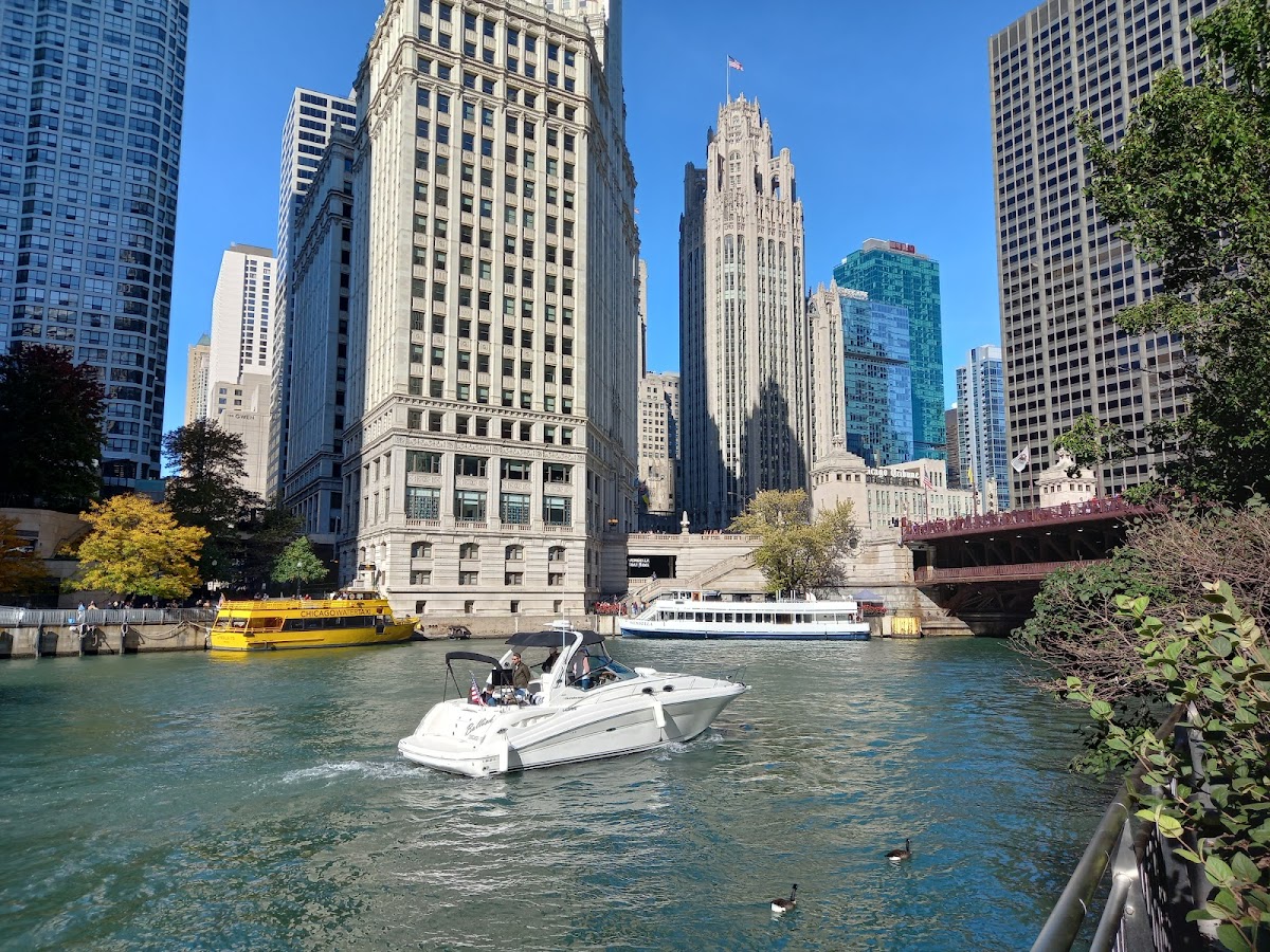 Chicago Mini Golf Courses